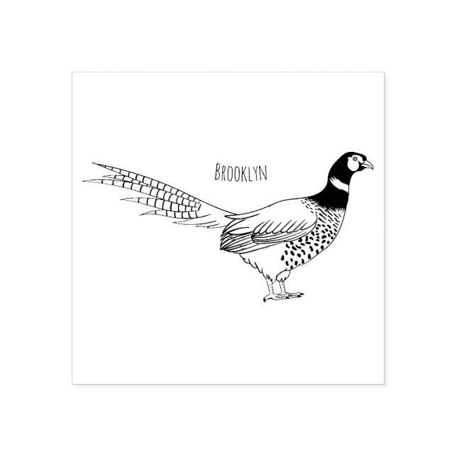Ring-necked pheasant bird cartoon illustration  rubber stamp (Imprint)