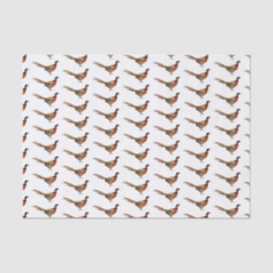 Ring-necked pheasant bird cartoon illustration  tissue paper