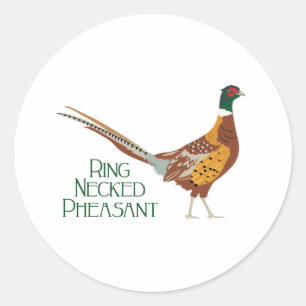Ring Necked Pheasant Classic Round Sticker