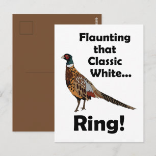 Ring-necked Pheasant Flaunting White Ring Birthday Postcard