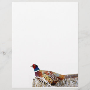 Ring-necked Pheasant Photo Stationery Paper