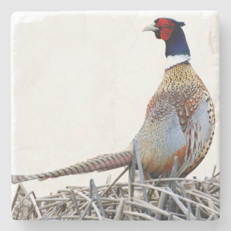 Ring-necked Pheasant Photo Stone Trivet Coaster