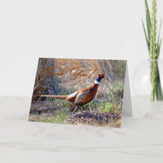 Ring-necked Pheasant Photo Thank You Card