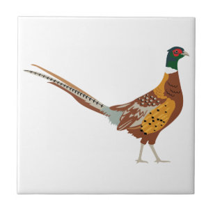 Ring-Necked Pheasant Tile