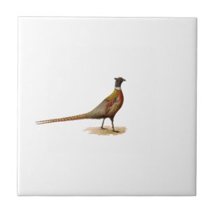 Ring-necked Pheasant Tile