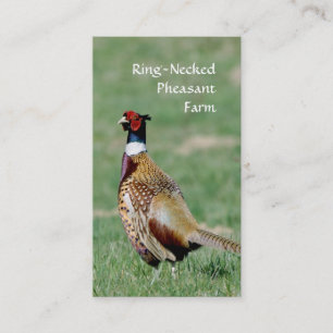 Ring Necked Pheasants photo Business Card