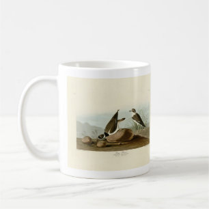 Ring Plover from Audubon's Birds of America Coffee Mug