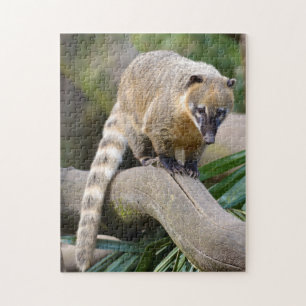 Ring-tailed Coati on branch Jigsaw Puzzle