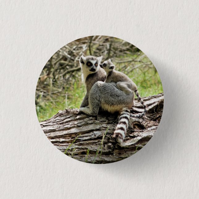 RING-TAILED LEMUR    1 INCH ROUND BUTTON (Front)
