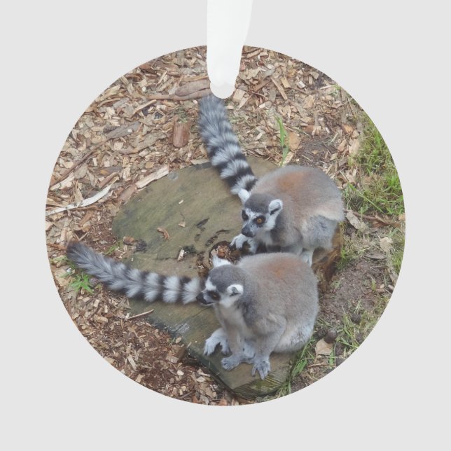 Ring-tailed Lemur #1 Ornament (Front)