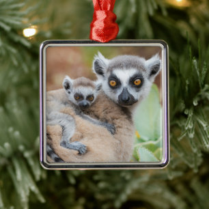 Ring-Tailed Lemur Baby on its Mother's Back Metal Ornament