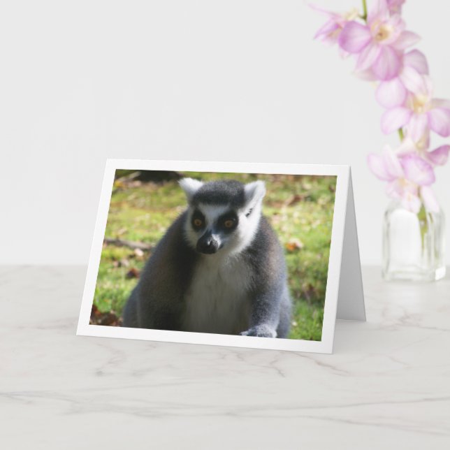 Ring-tailed Lemur Card (Orchid)