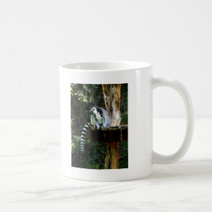 Ring-Tailed Lemur Coffee Mug