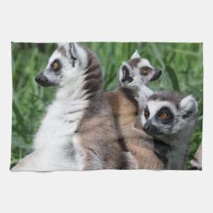 Ring-tailed Lemur Family Kitchen Towel