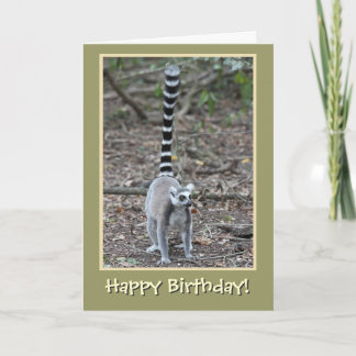Ring-Tailed Lemur Happy Birthday Card