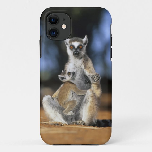 Ring-tailed Lemur, (Lemur catta), Mother and Case-Mate iPhone Case (Back)