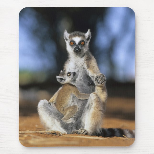 Ring-tailed Lemur, (Lemur catta), Mother and Mouse Pad (Front)