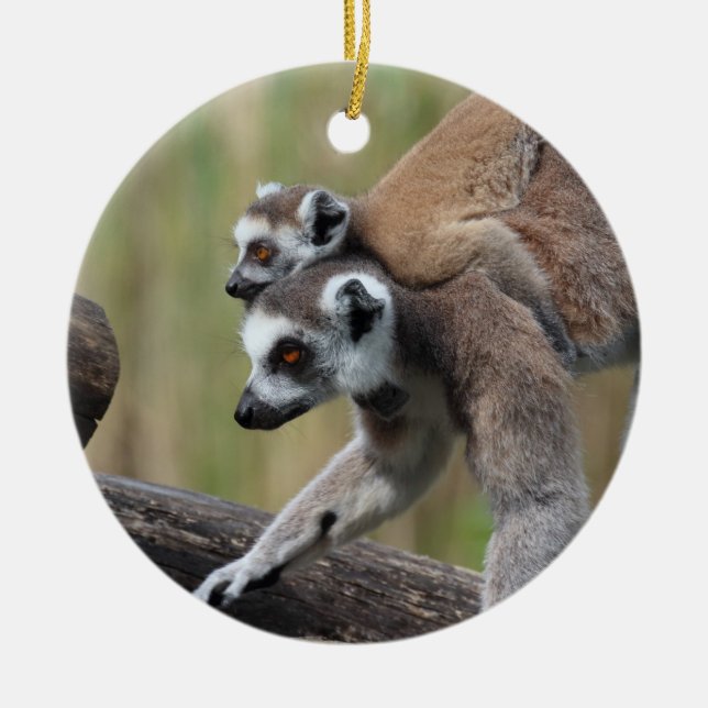Ring-Tailed Lemur Mother And Baby Ceramic Ornament (Front)