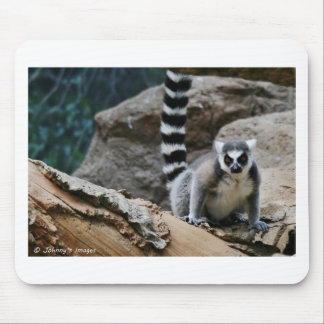 RIng Tailed Lemur Mouse Pad