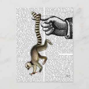 Ring Tailed Lemur on Finger 2 Postcard