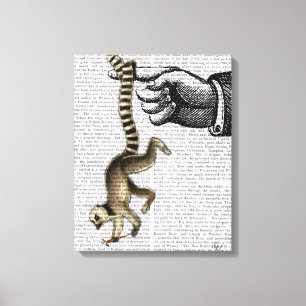 Ring Tailed Lemur on Finger Canvas Print