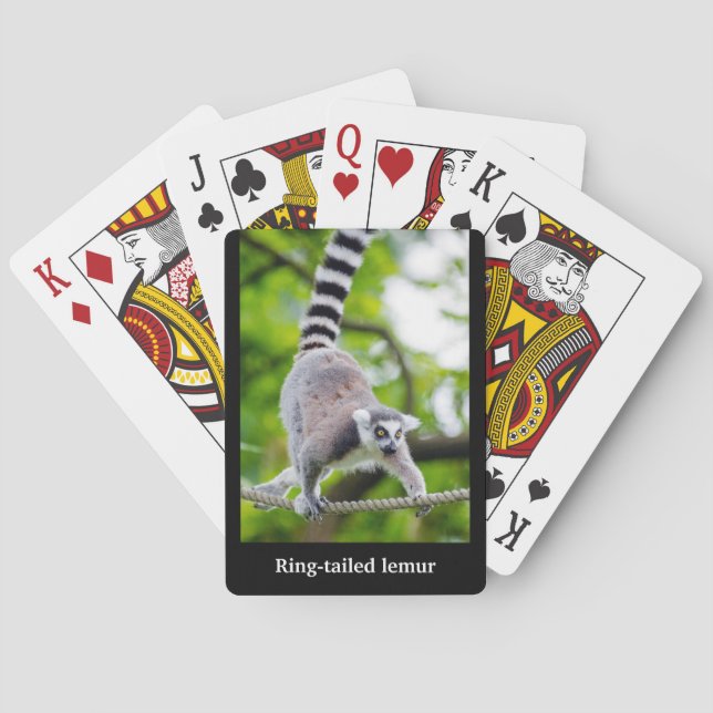Ring-tailed lemur playing cards (Back)