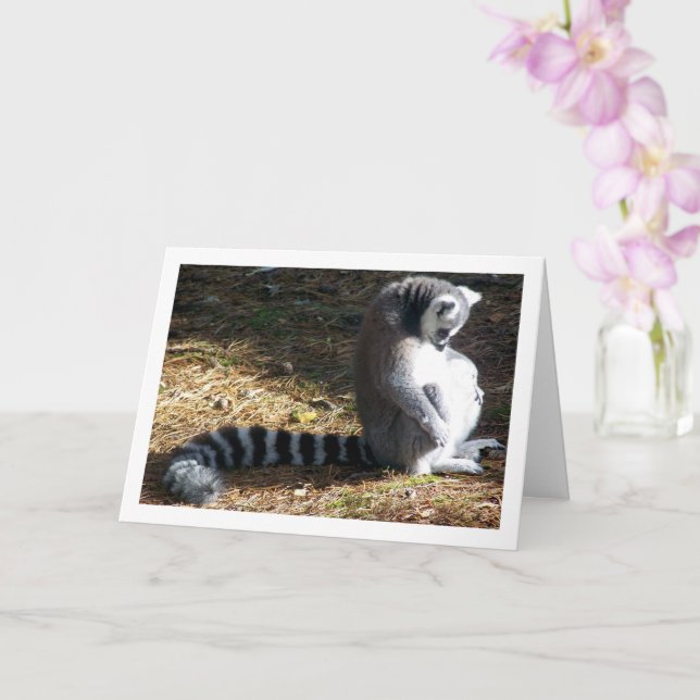 Ring-tailed lemur Portrait Card (Orchid)