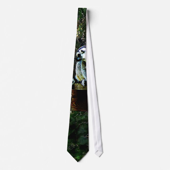 Ring-Tailed Lemur Tie (Front)