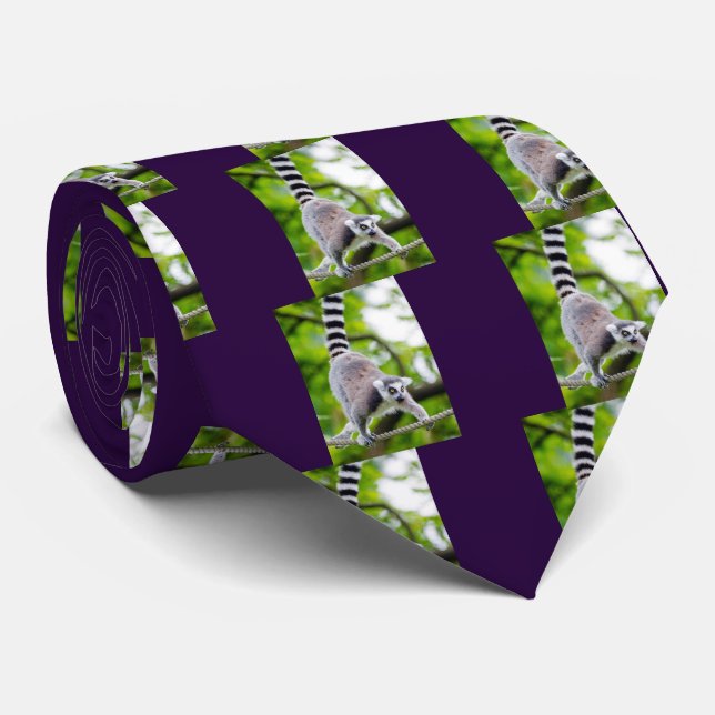 Ring-tailed lemur tie (Rolled)