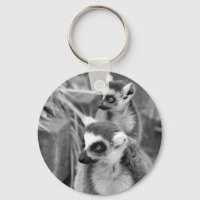 Ring-tailed lemur with baby black and white
