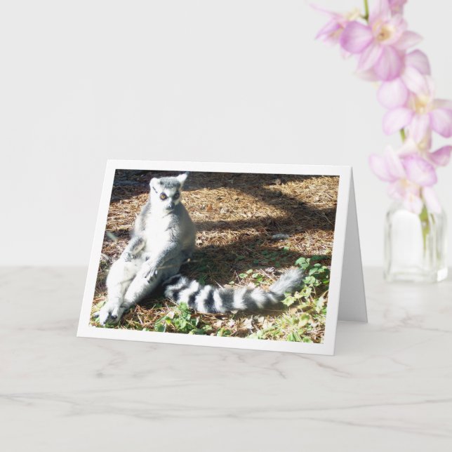Ring-tailed lemur with Legs Crossed Card (Orchid)