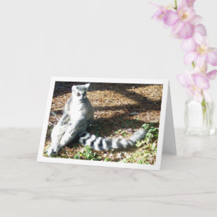 Ring-tailed lemur with Legs Crossed Card