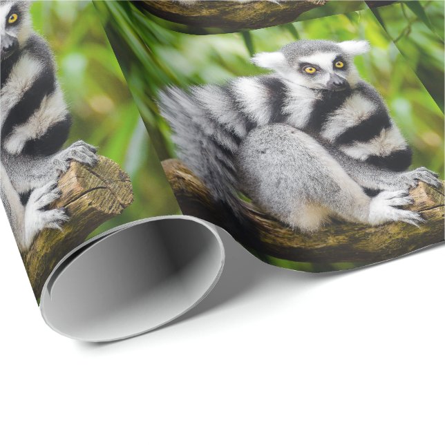 Ring-tailed lemur wrapping paper (Roll Corner)