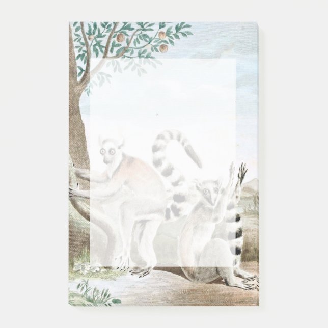 Ring-Tailed Lemurs Illustration Post-it Notes (Front)