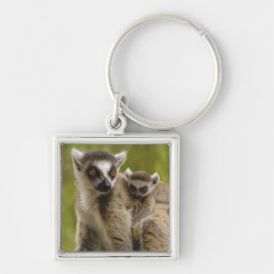 Ring-tailed lemurs (Lemur catta) Mother & baby. Keychain