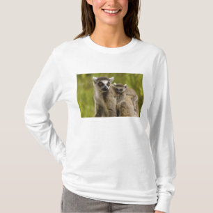 Ring-tailed lemurs (Lemur catta) Mother & baby. T-Shirt