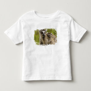 Ring-tailed lemurs (Lemur catta) Mother & baby. Toddler T-shirt