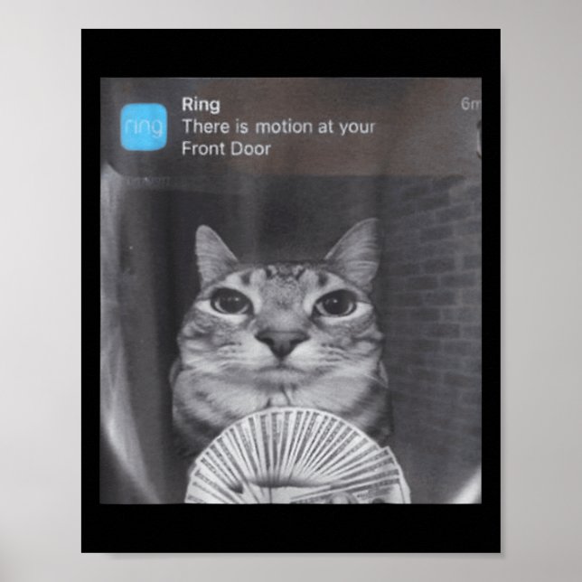 Ring There Is Motion At Your Front Door Funny Meme Poster (Front)