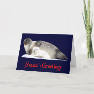Ringed Seal Holiday Card