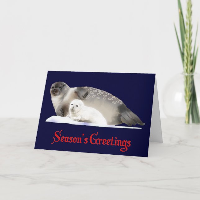 Ringed Seal Holiday Card (Front)