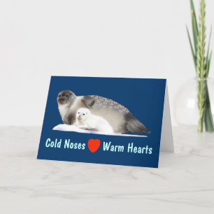 Ringed Seal Holiday Card