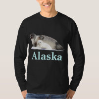Ringed Seal