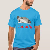 Ringed Seal