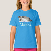 Ringed Seal