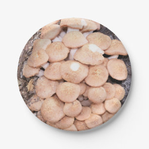 ringless honey mushrooms on a paper plate