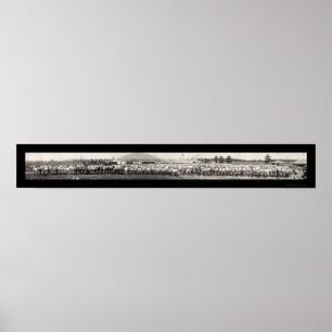 Ringling Bros Horses Photo 1914 Poster