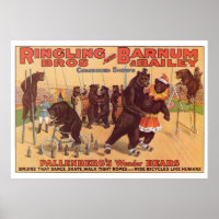 Ringling Bros. Wonder Bears Advertisement 1920's