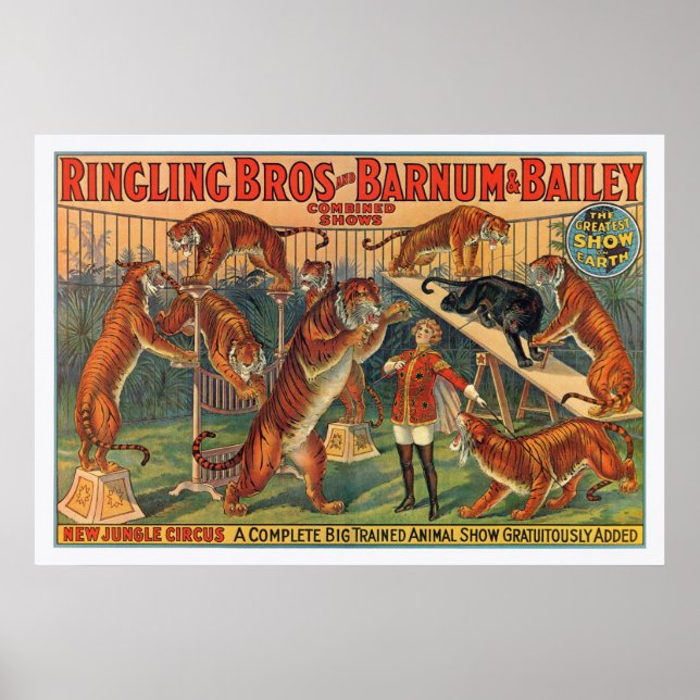 Ringling Brothers Barnum and Bailey Tigers Poster (Front)