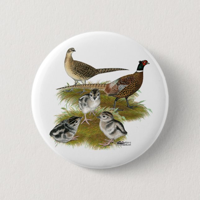 Ringneck Pheasant Family 2 Inch Round Button (Front)
