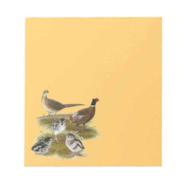 Ringneck Pheasant Family Notepad (Front)